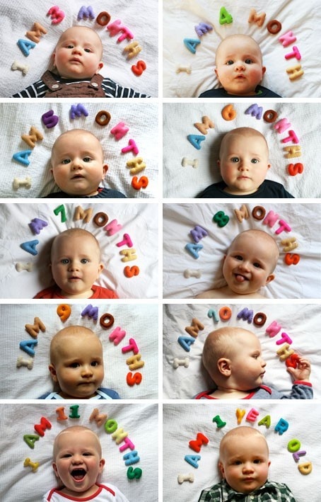 el sofa amarillo fotos bebés mes a mes (3)