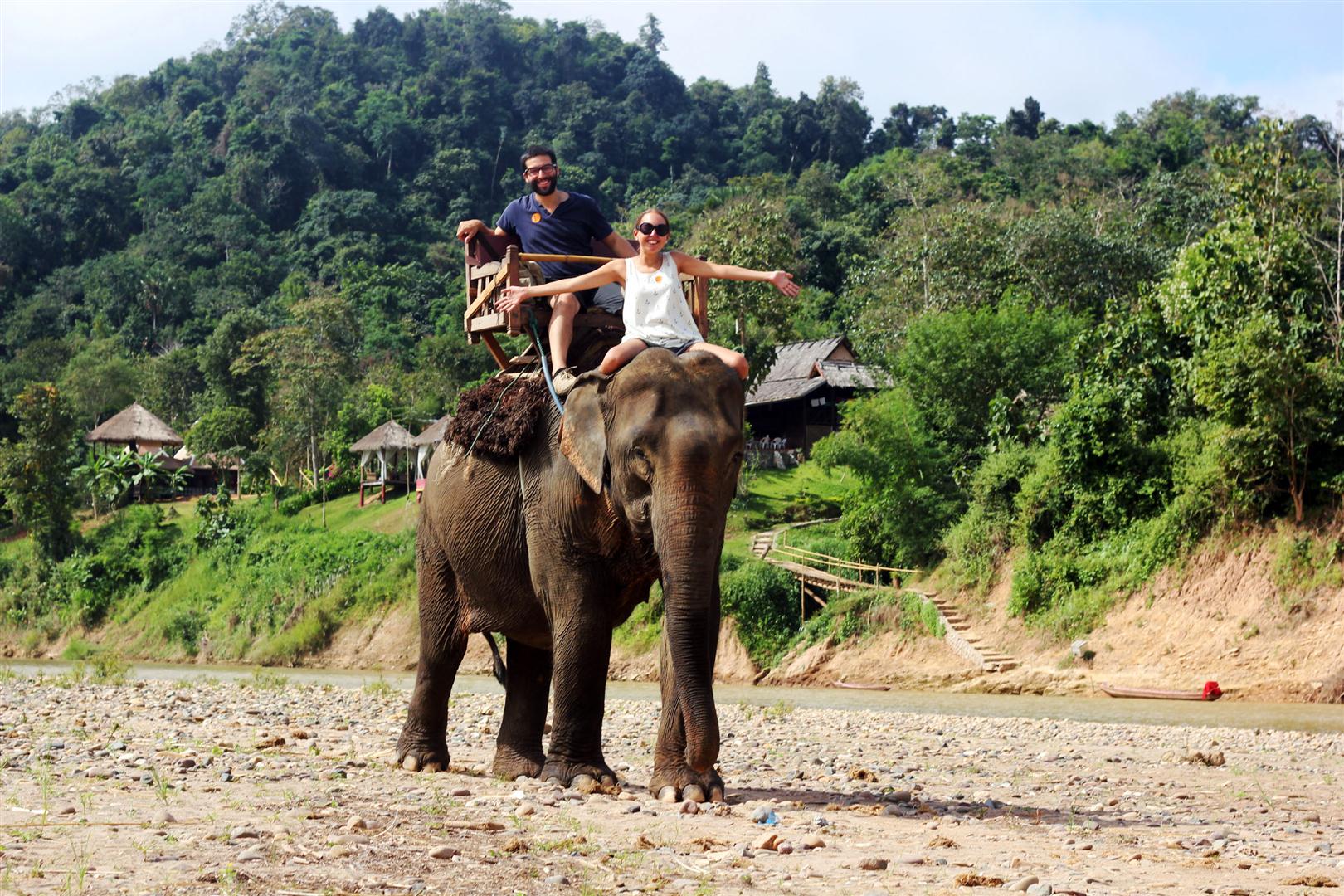 el sofa amarillo bañar elefantes en laos (1)