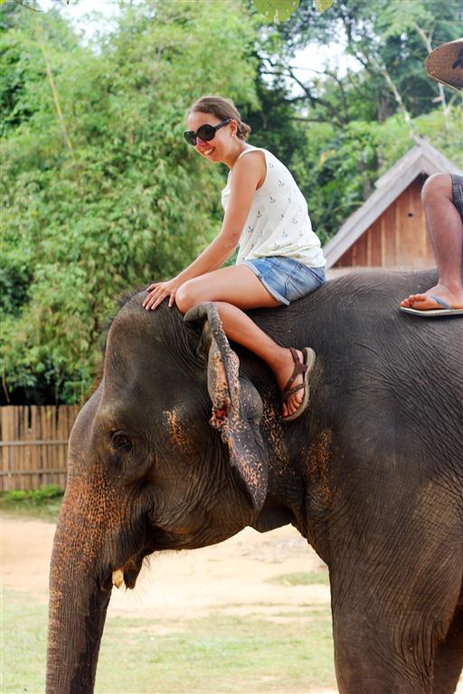 el sofa amarillo montar en elefante en laos (11)