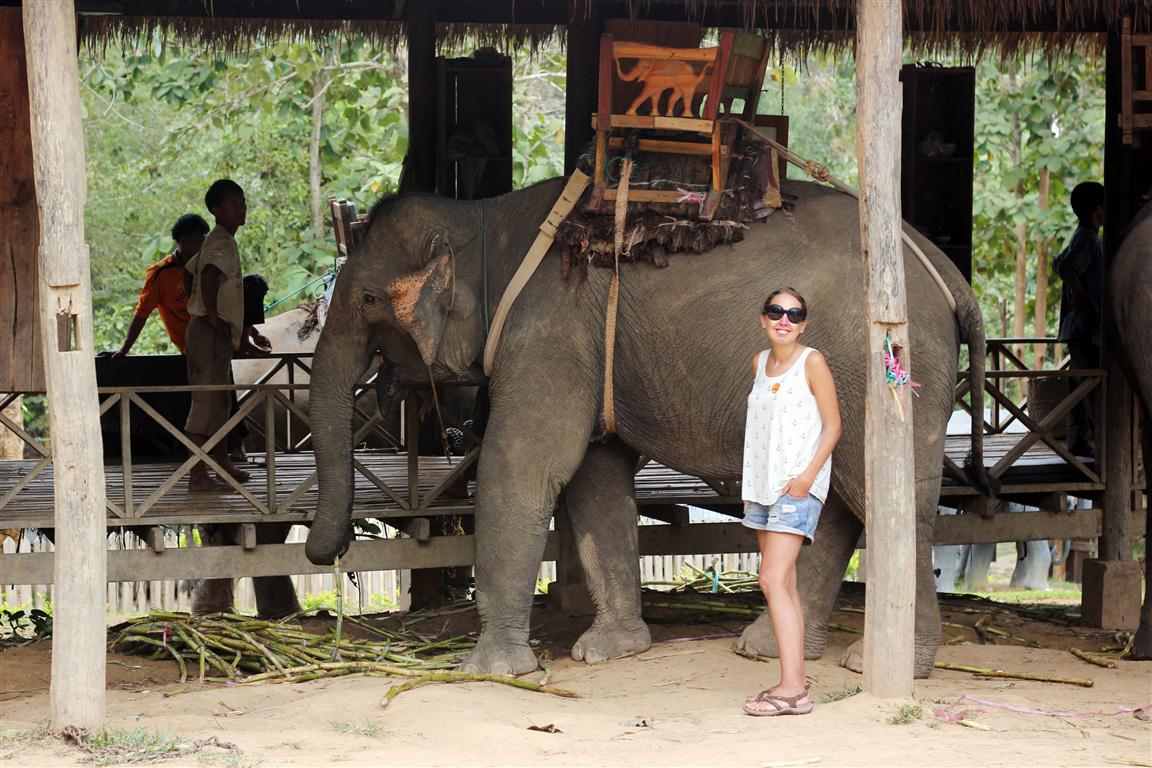 el sofa amarillo montar en elefante en laos (3)