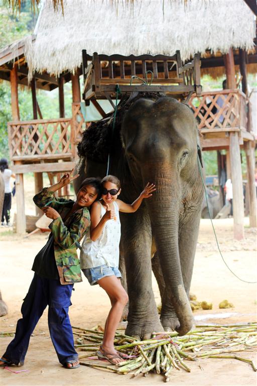 el sofa amarillo montar en elefante en laos (7)